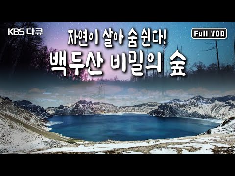 혹독한 겨울을 이겨내고 찾아온 백두산의 봄! 태고의 자연이 살아 숨 쉬는 백두산 원시림의 신비로운 생태와 희귀 동식물의 세계 (KBS 20150718 방송)