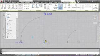 AutoCAD Dynamic Block Flip and Visibility