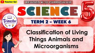 Science 5 Term 2 Week 6      Classification of Living Things Animals and Microorganisms