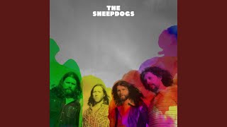 Miniatura de vídeo de "The Sheepdogs - Never Gonna Get My Love"