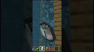 “I Built a Super Smooth Bubble Elevator in Minecraft!”