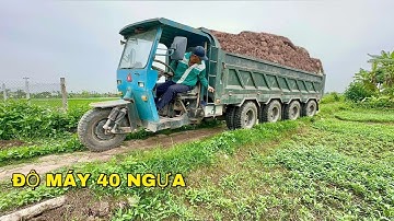 Công nông siêu to khủng chở đất sa lầy kéo nhau cực căng | Máy xúc múc đất | Excavator truck