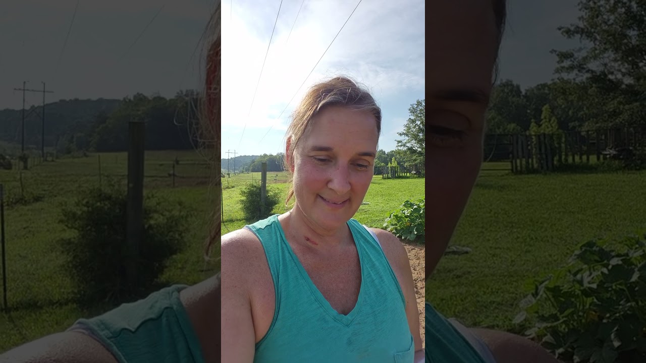 What's the Soil of your heart like... Matthew 13