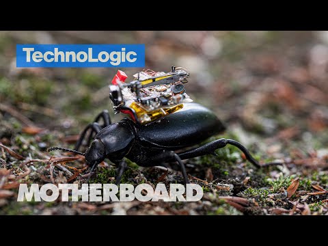 Robot Insects are Coming. But Can We Trust Them? | TechnoLogic