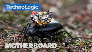Robot Insects are Coming. But Can We Trust Them? | TechnoLogic