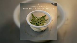 Benjamin Aurelius - Paper Fern In The Oat Milk Lid (Copyright Free) screenshot 5