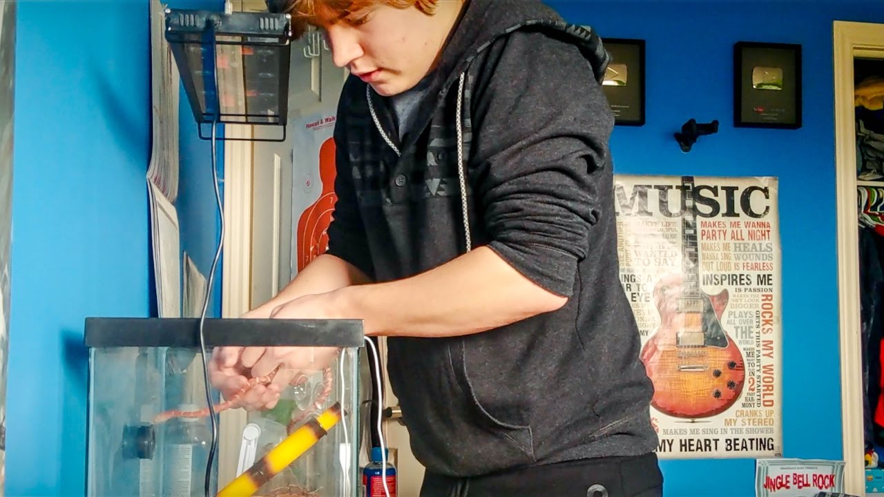 vlogs in spanish HANDLING THE SQUIRMIEST SNAKE EVER!!
