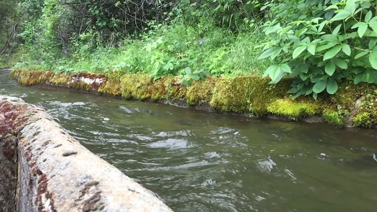 kohala water flume kohala water flume