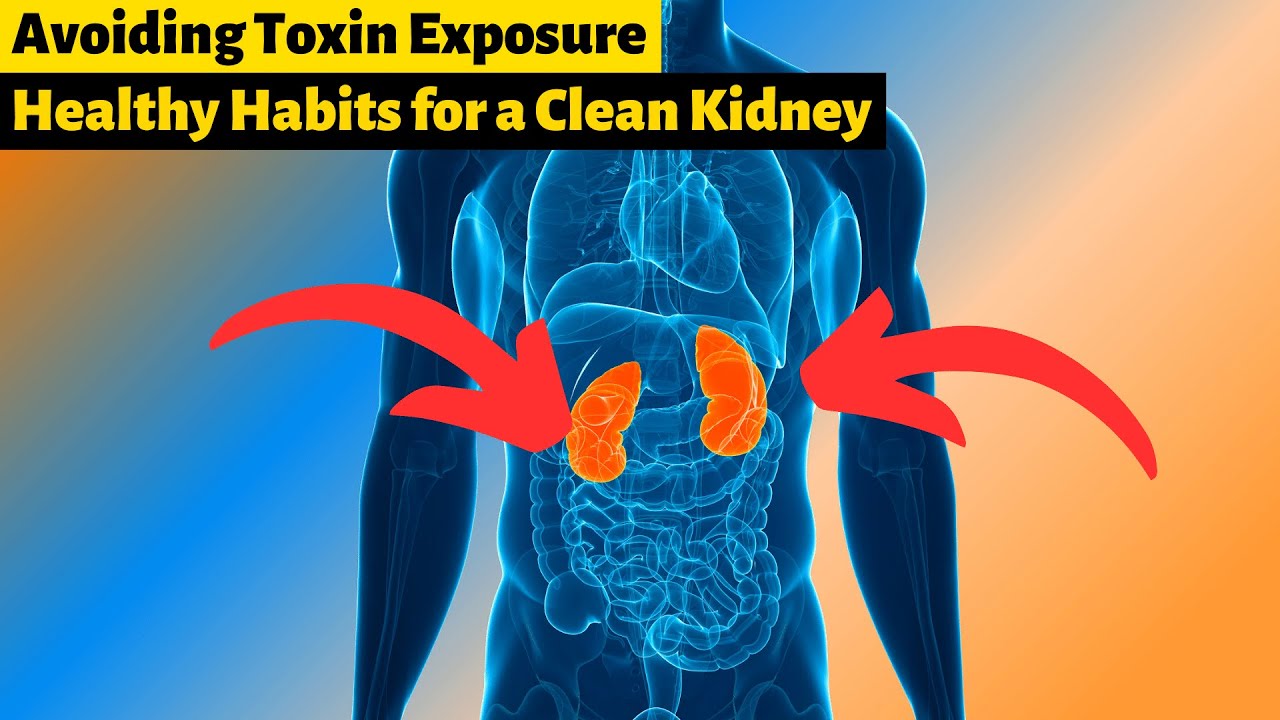 6 Simple Ways to Protect Your Kidneys from Toxins YouTube