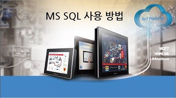 MS SQL 사용 방법