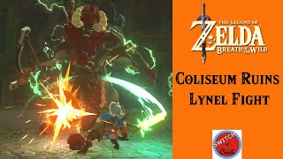 Coliseum Ruins - Lynel Fight - Breath of the Wild