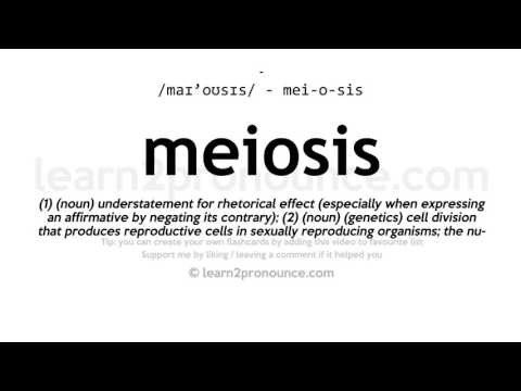 Pronunciation of Meiosis | Definition of Meiosis