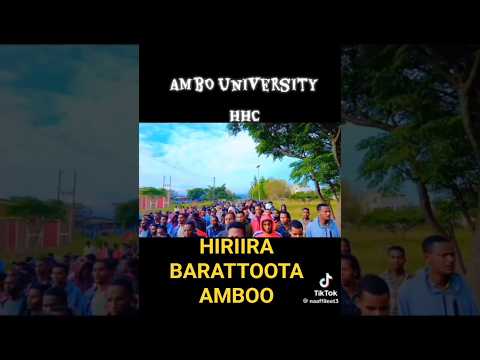 Hiriira Barattootaa Yuunivarsitii Amboo