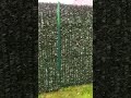 Зеленый забор из искусственной хвои