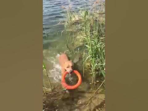 Кетрой - YouTube