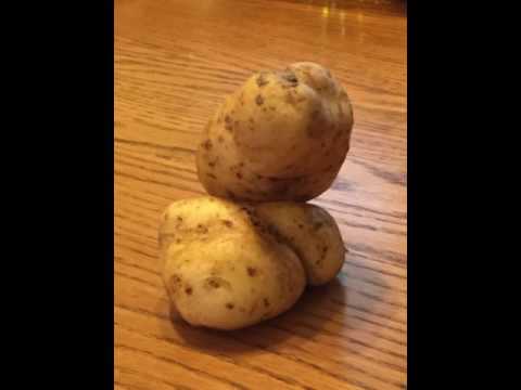 Potato Porn - YouTube