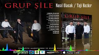 Grup Şile - Nasıl Olacak (2019) Resimi