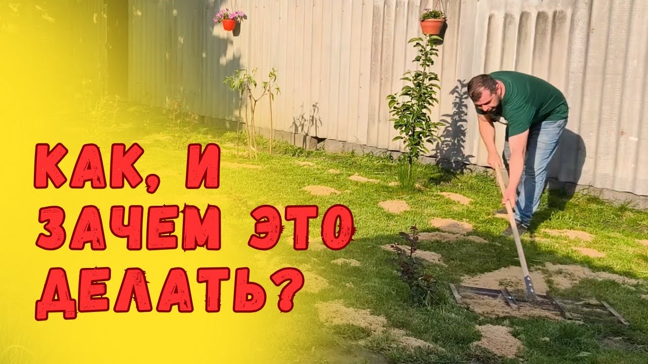 Пескование газона: зачем траве песок и как вернуть лужайке густоту