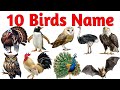 Birds Name for Kids 🐦 | Learn Bird Names with Pictures & Sounds | Educational Video