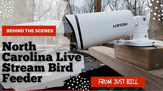 Exclusive Behind the Scenes of the North Carolina Live Stream Bird Feeder Camera!