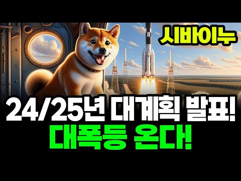   시바이누 24 25 비전 발표 시바이누의 전망은 시바이누 도지 시바이누전망