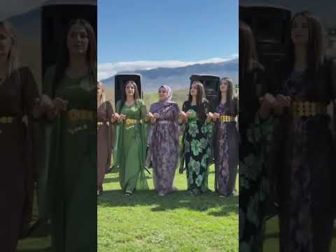 Kadınların muhteşem gösterisi  #halay #kurdish #kurtce #öneçıkar #dugunumuzvar #gelin  #halaybasi