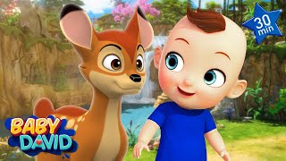 Lets Save The Animals More Nursery Rhymes & Kids Songs Baby David