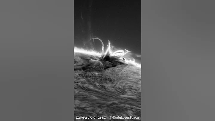 Insane Close-Up of the SUN! Captured Through My Telescope #astronomy #space