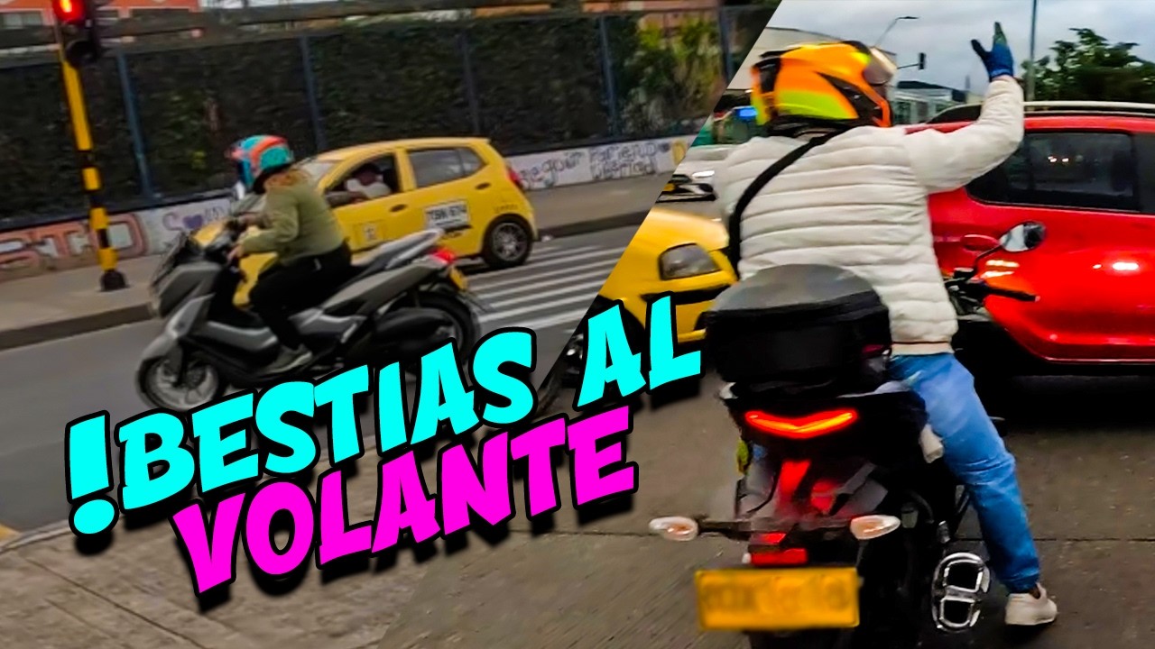 Bestias al volante captados en camara - Observaciones diarias 18