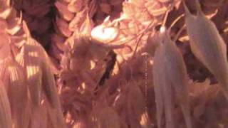 Video thumbnail of "Cocteau Twins -  Squeeze - Wax"
