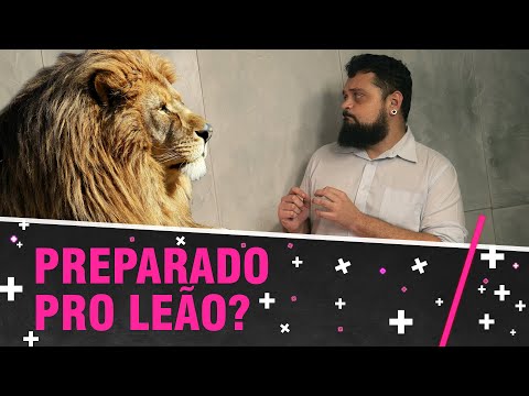 Como declarar o IR? Lucas Lyra apresenta as ferramentas