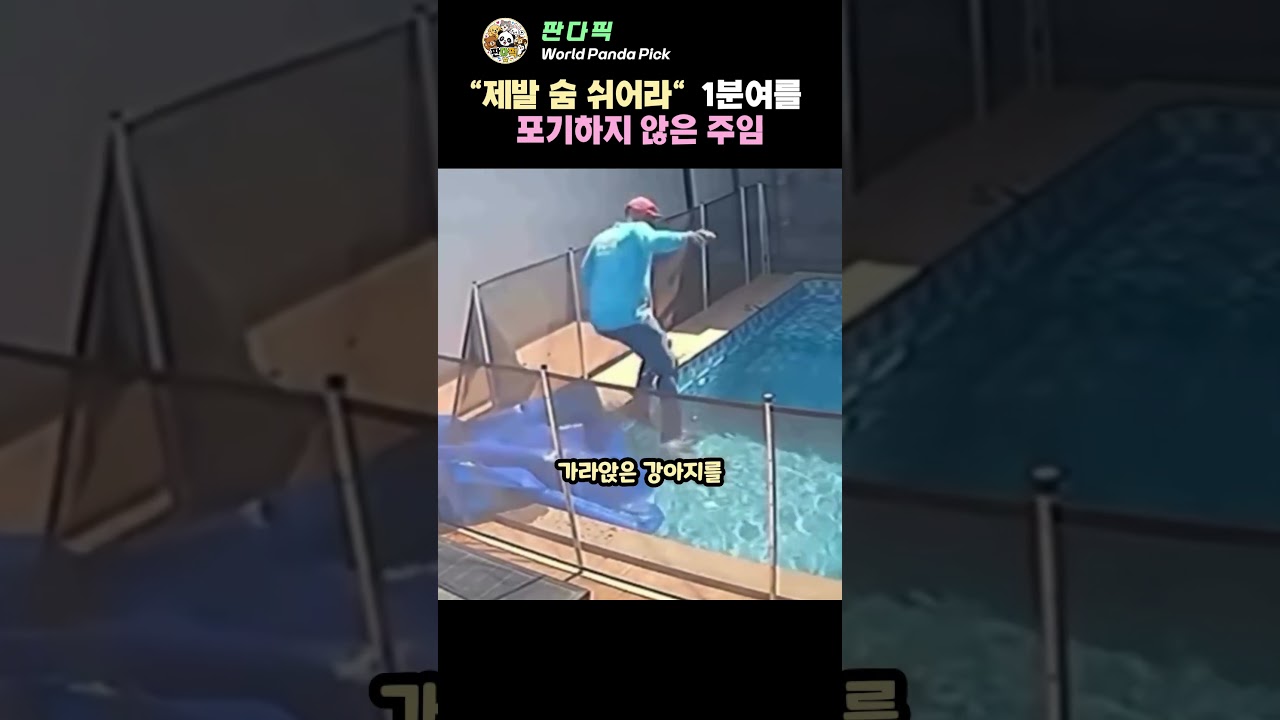 수영장 덮개 걷자마자 옷 입은 채 물속으로 뛰어든 남자의 사연