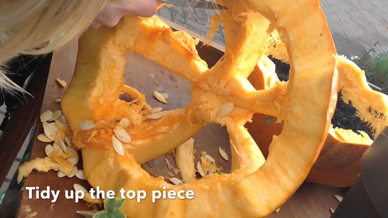How to make a Pumpkin Garden YouTube