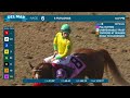 Pali Kitten wins race 6 at Del Mar 8/18/24