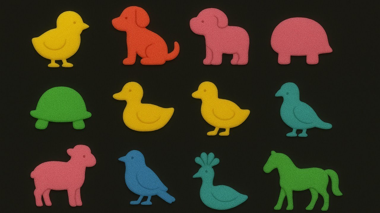 Baby & Small Animals Chick, Puppy, Baby rhino, Small turtle, Female duck, Calf, Lamb, Small bird