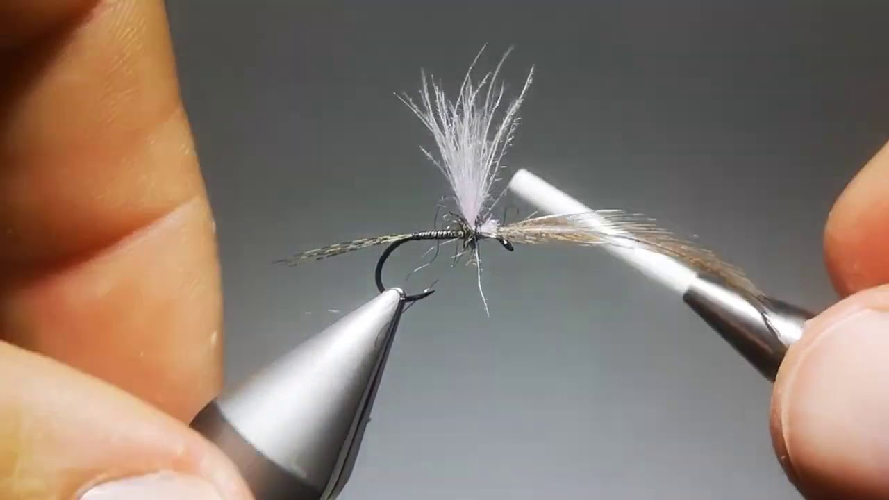 https://i.ytimg.com/vi/FqBQOZrr_YQ/maxresdefault.jpg
