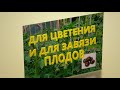 ЗАВЯЗИ ПЛОДОВ ПОЯВЯТСЯ И В ЖАРУ И В ХОЛОД И В ДОЖДЬ. Для ЦВЕТЕНИЯ и для ЗАВЯЗИ ПЛОДОВ.