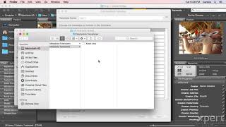 04-03 Using Metadata Templates in Adobe Bridge - Bridge Course