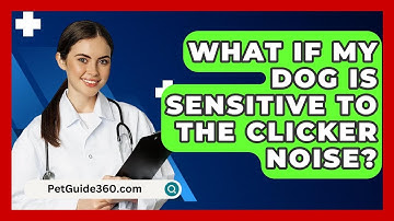 What If My Dog Is Sensitive to the Clicker Noise? - PetGuide360.com