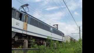 3071レ JR貨物 EF65 2050号機 新鶴見機関区所属 牽引高速貨物列車 東海道本線 東静岡駅 静岡貨物駅間通過