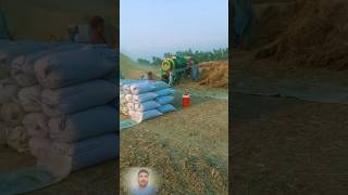Kank ki ghi ke sath sath danon ke buryan bhi bandh li wheat crashing system in Pakistan #ytshorts