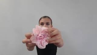 Download lagu Bun covers & hair net - FH2