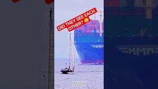 Huge Containership vs Tiny Sailboat 🚢⛵