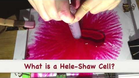 Saffman Taylor Instabilities- Viscous Fingering