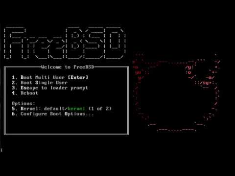 FreeBSD 11.2. Установка