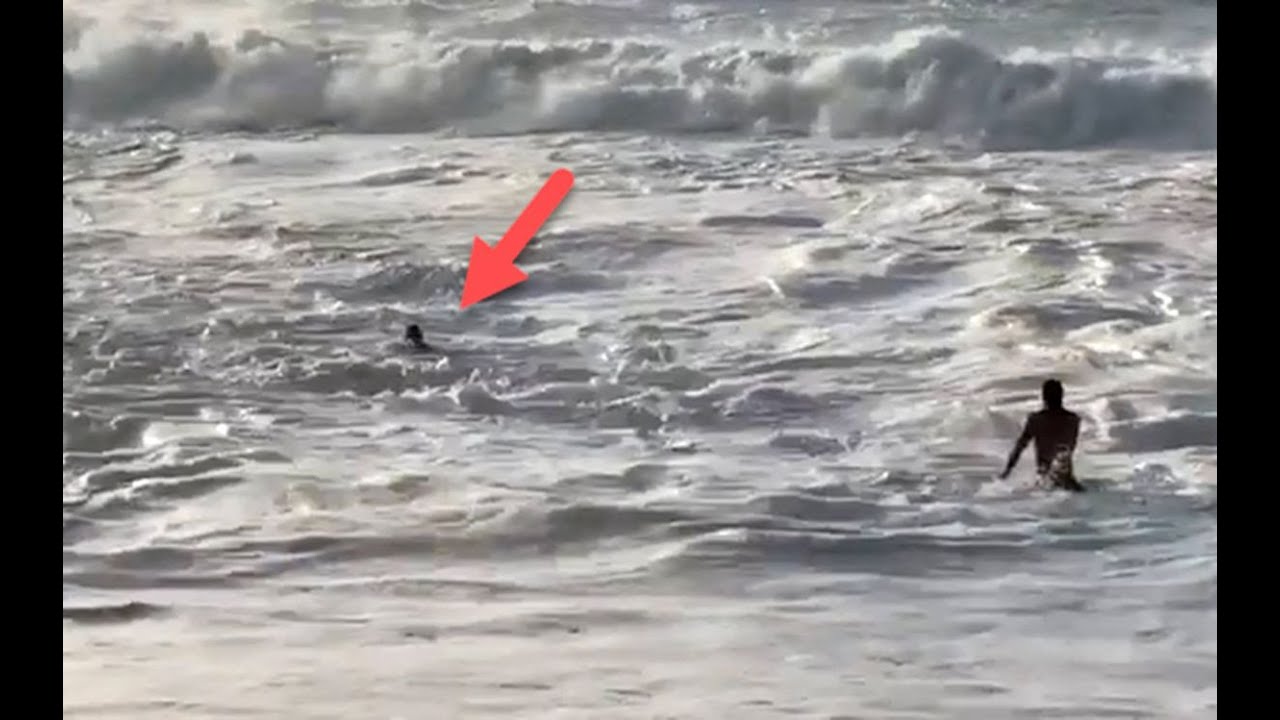 SEE IT Pro surfer saves swimmer struggling in rough Hawaii waves YouTube