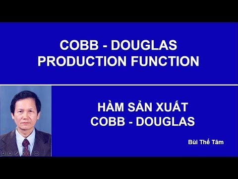 Hàm sản xuất Cobb-Douglas – Bui The Tam