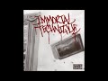 Immortal Technique - Revolutionary (Volume 2)