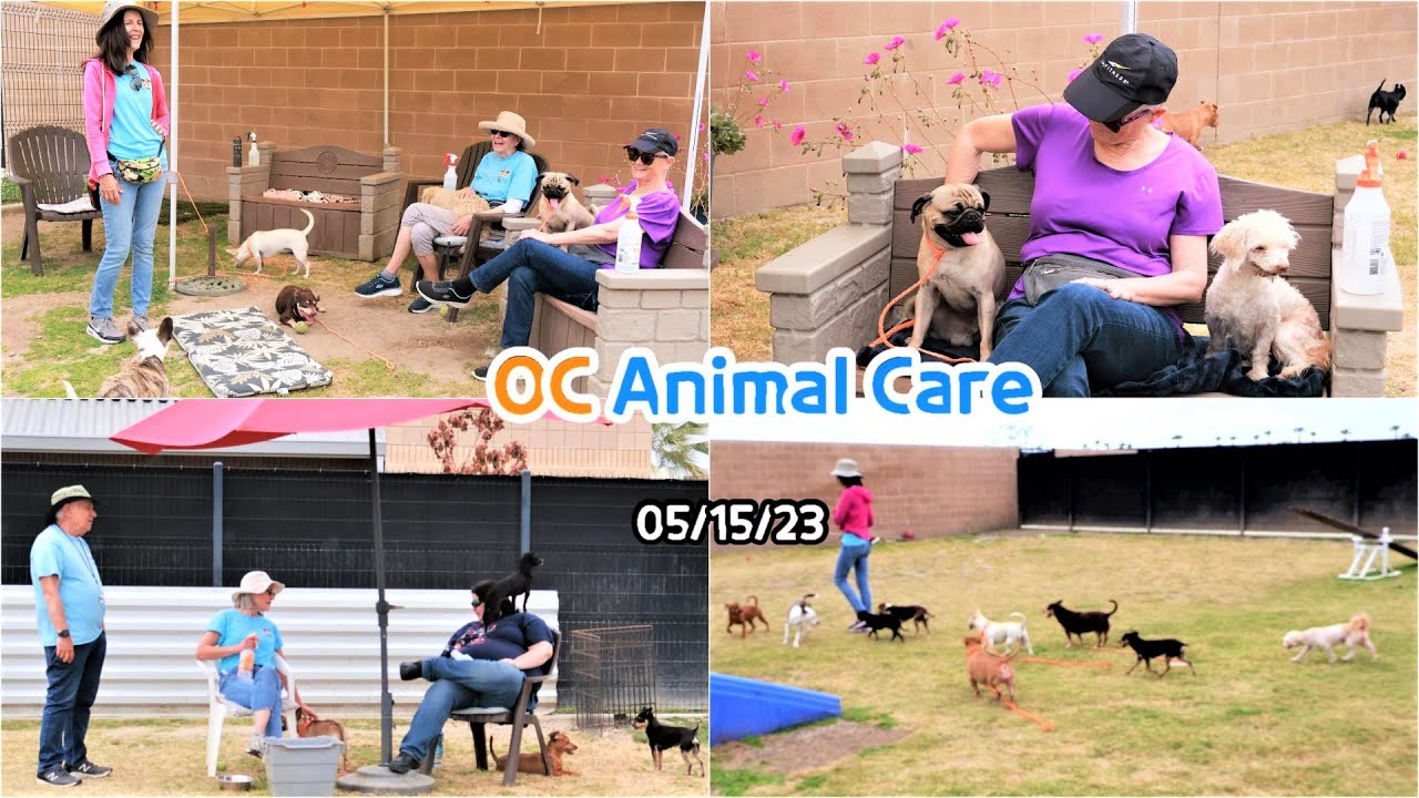 OC Animal Care – Small Dog Play Group 05/15/23