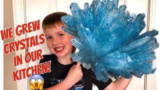 Growing Crystals in our Kitchen | How to Grow Crystals | Smithsonian Crystal Growing Set